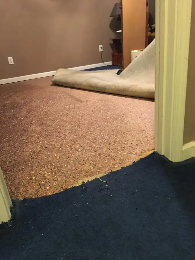 Carpet pad removal revealing water damage during Drying & Dehumidification in Bergenfield