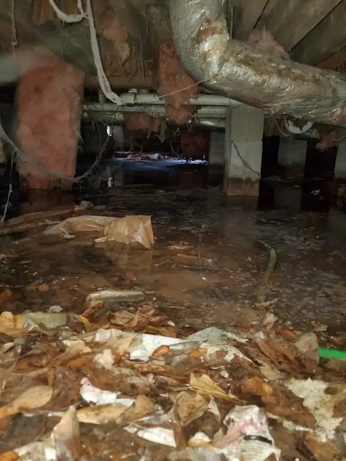 Crawl space flood assessment for Leak Detection & Repair in Bergenfield