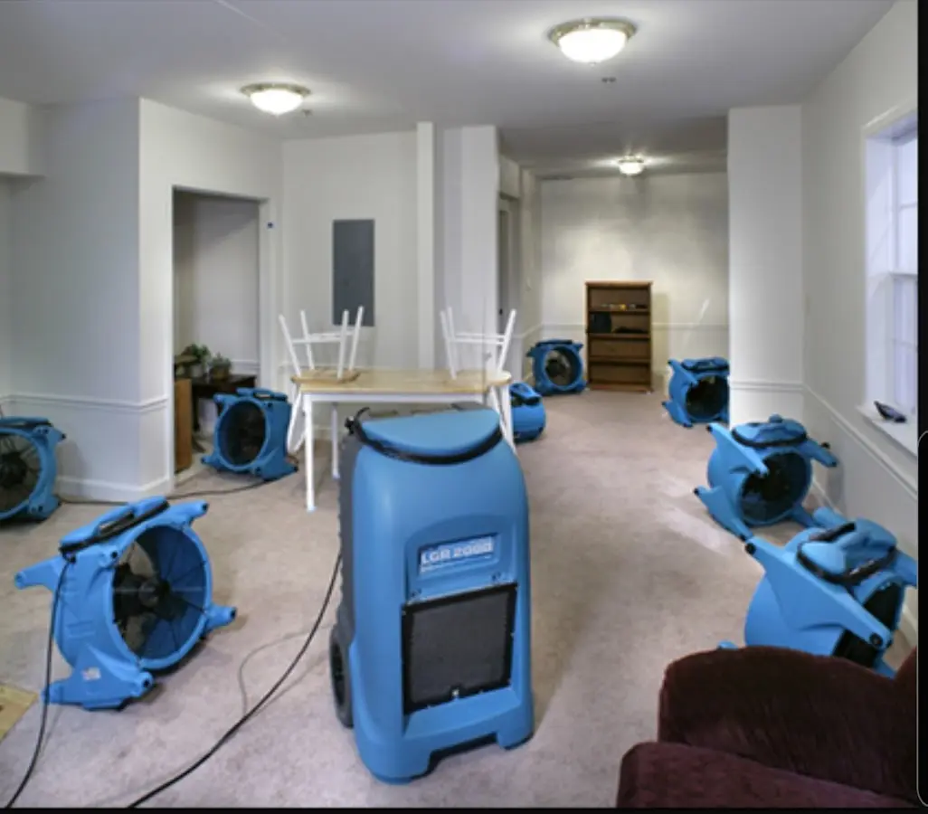 Air movers and dehumidifier setup for Water Extraction & Removal in Bergenfield