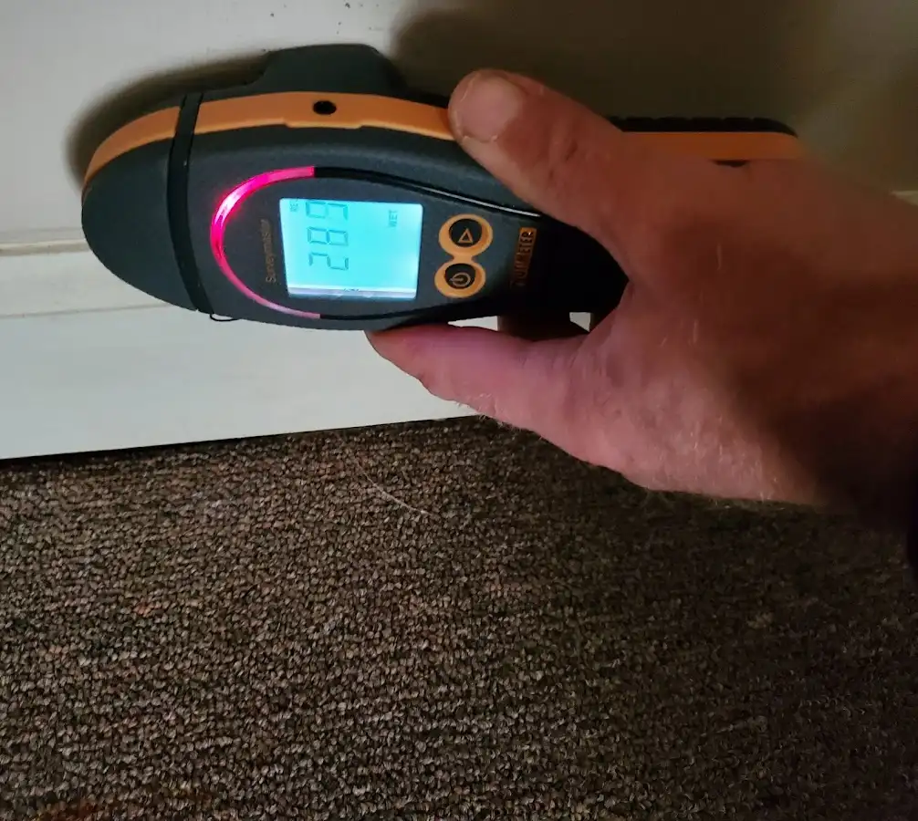 Moisture detection at baseboard during Sewage Cleanup & Sanitation in Bergenfield
